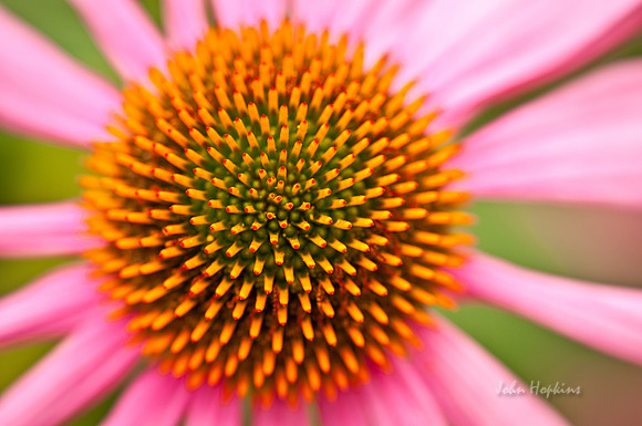Color Burst