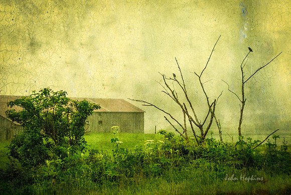 Green Foggy Dew