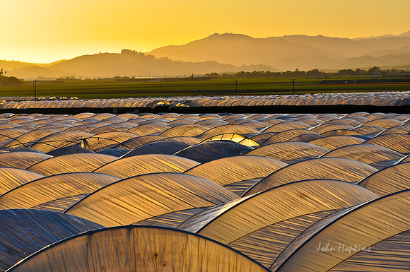 Plastic Farms