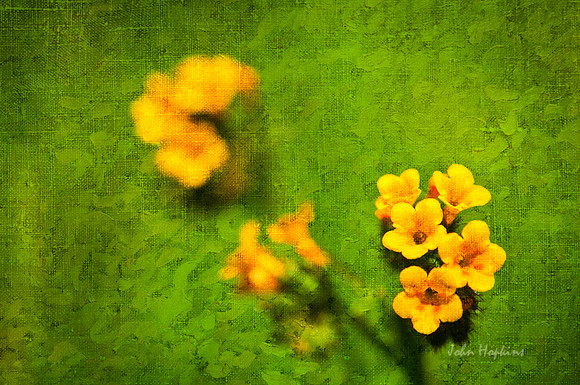 Tiny Glory