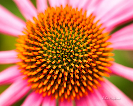 Color Burst