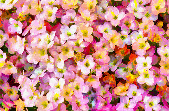 A Florid Repose
