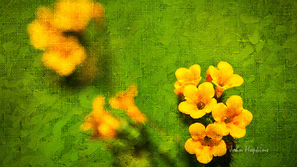 Tiny Glory